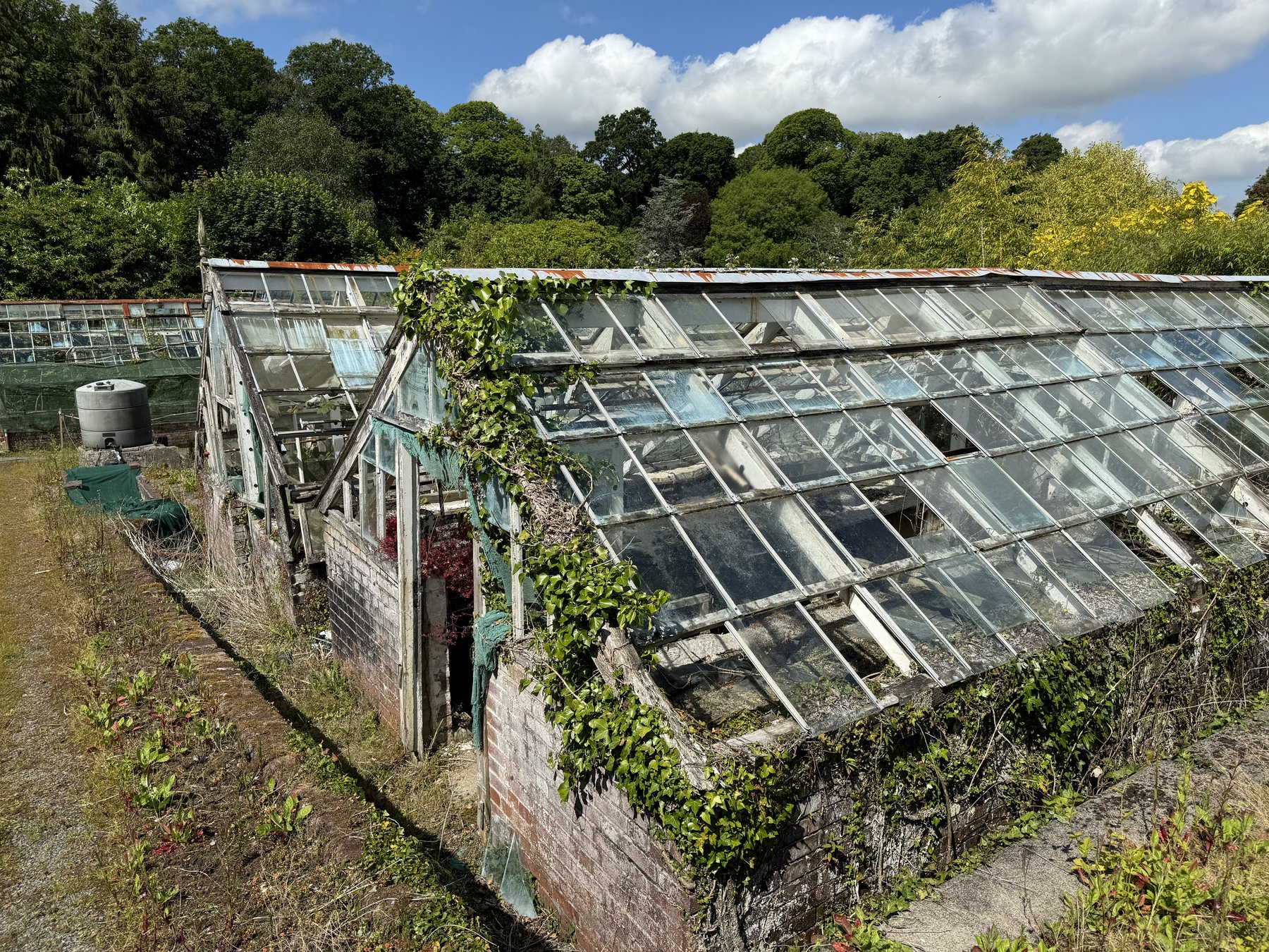 The old glasshouses