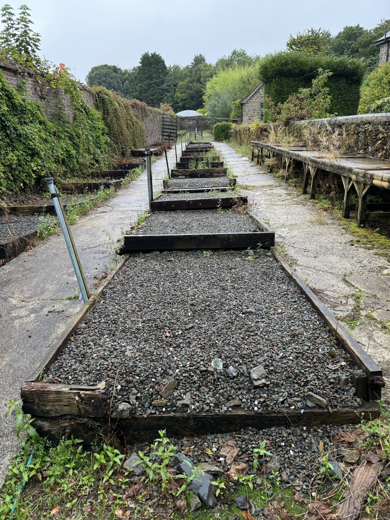 Old growing beds within the historic walled gardens