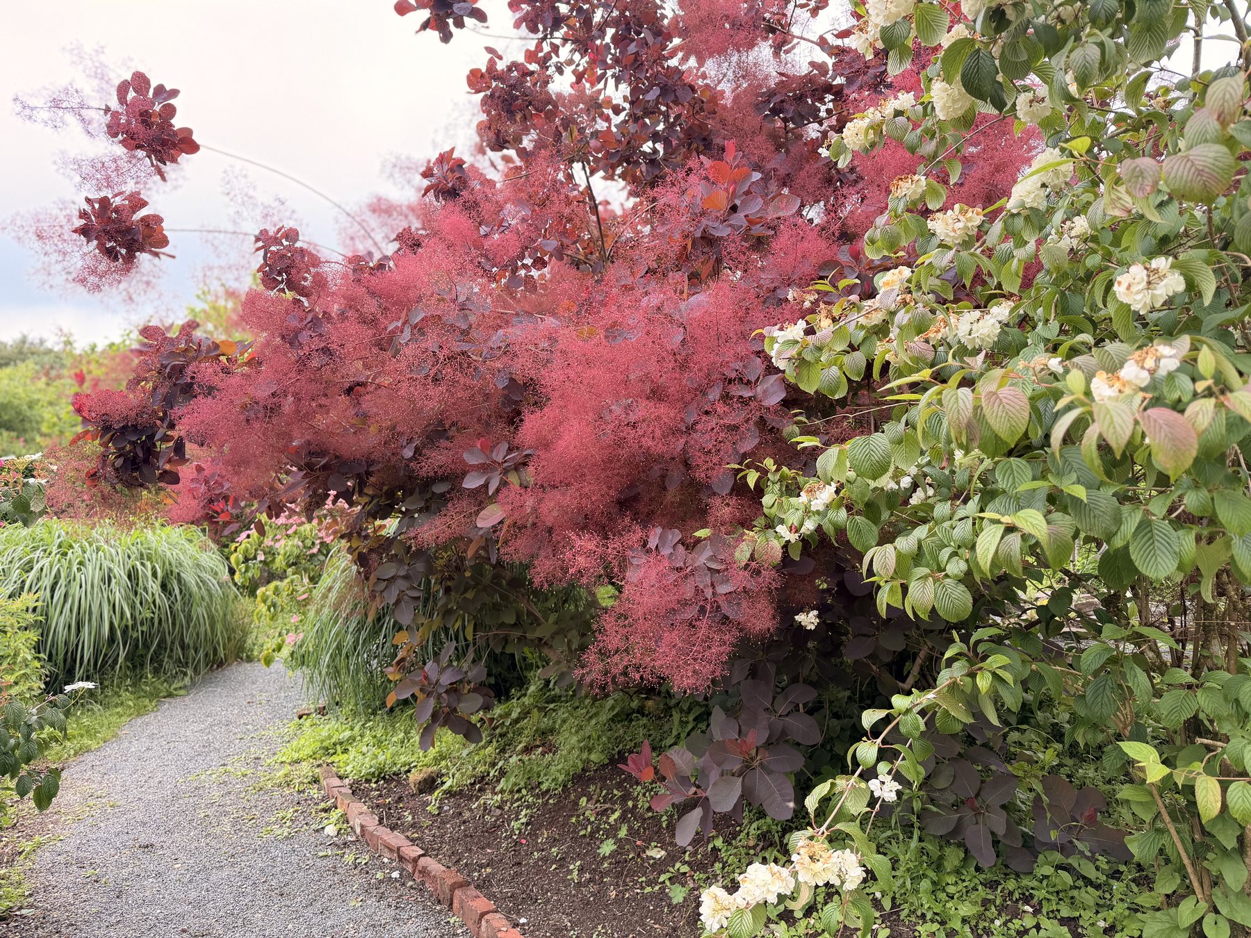 Our first summer